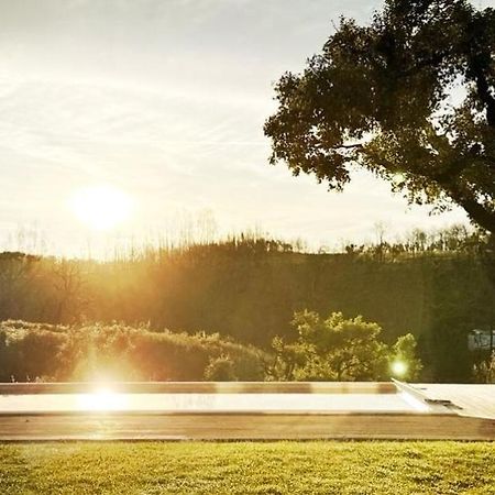 Choeiro Verde - Casa De Campo Na Costa Vicentina Brejao Buitenkant foto