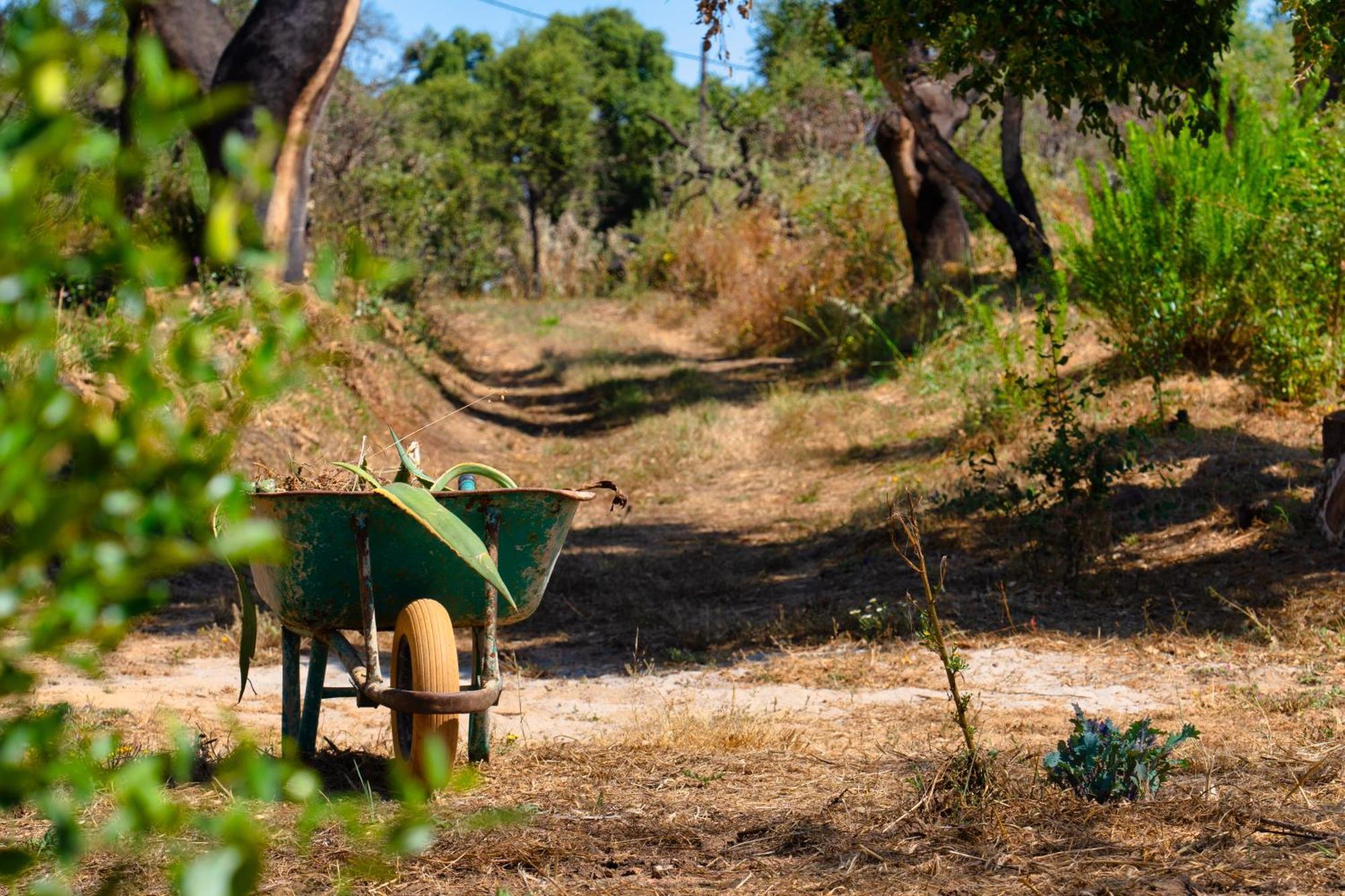 Choeiro Verde - Casa De Campo Na Costa Vicentina Brejao Buitenkant foto