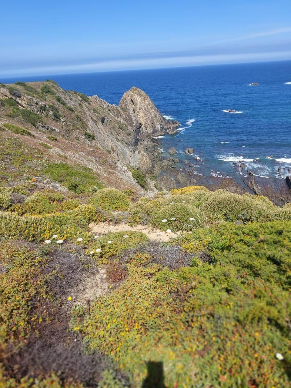 Choeiro Verde - Casa De Campo Na Costa Vicentina Brejao Buitenkant foto